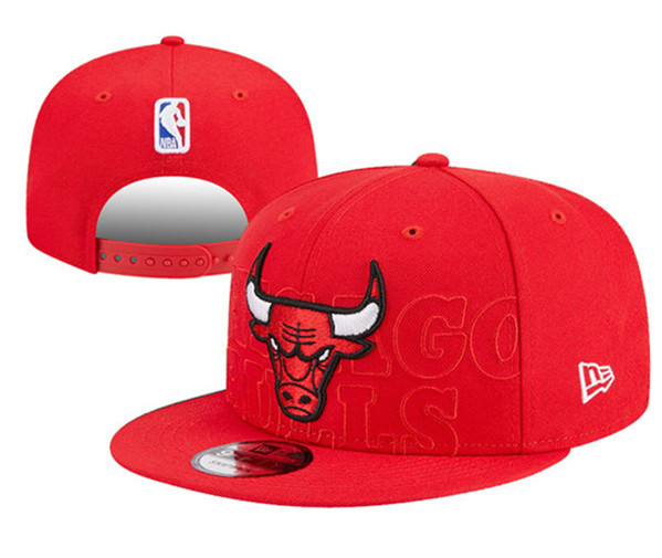 Chicago Bulls Stitched Snapback Hats 095